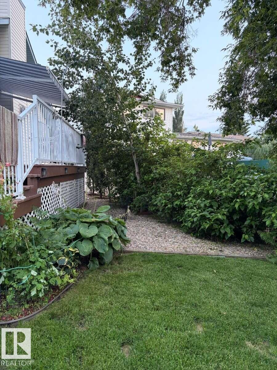 picture 28