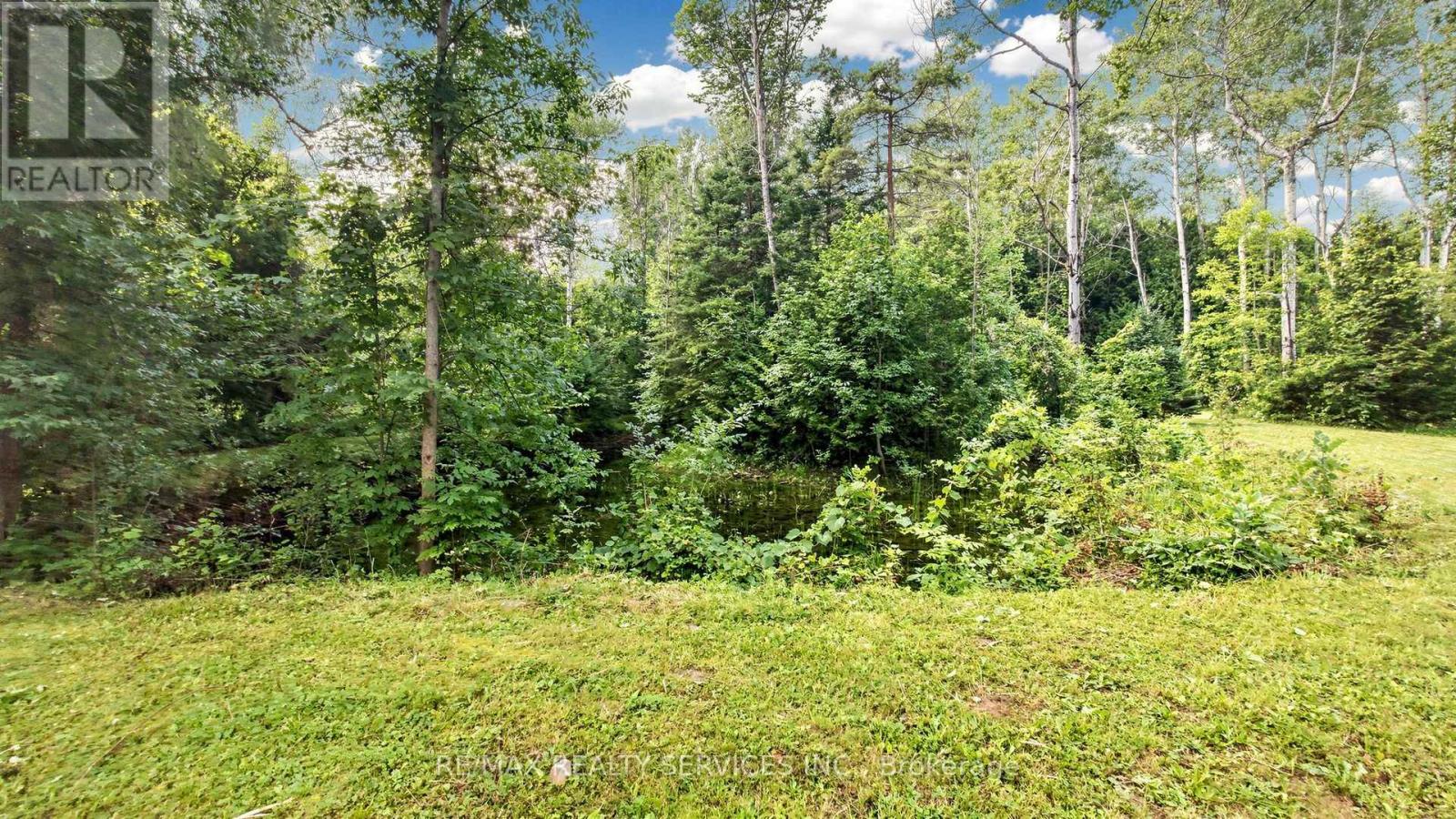 9225 County 1 Road, Adjala-Tosorontio, Ontario  L0N 1P0 - Photo 37 - N13673150