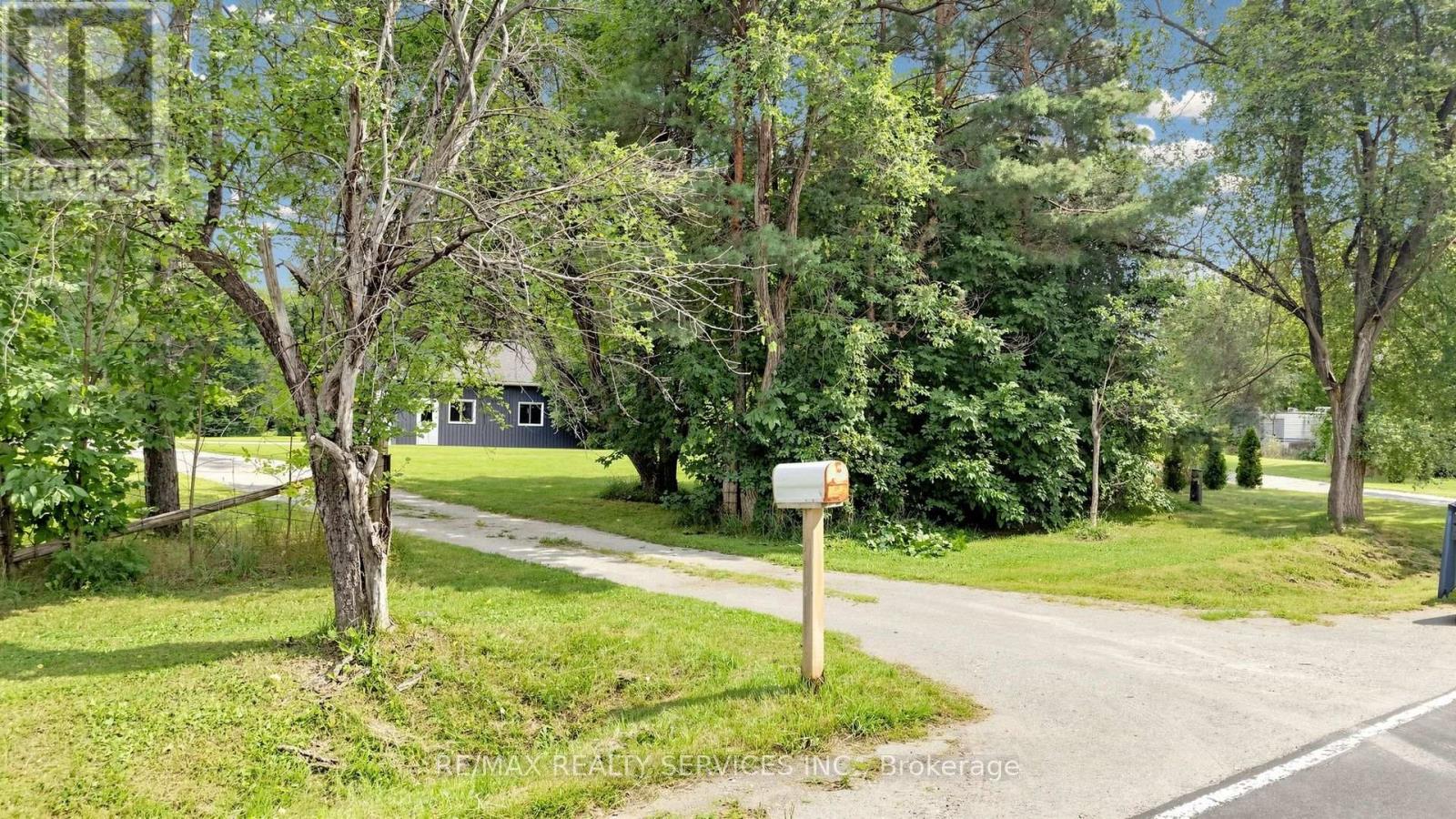 9225 County 1 Road, Adjala-Tosorontio, Ontario  L0N 1P0 - Photo 38 - N13673150