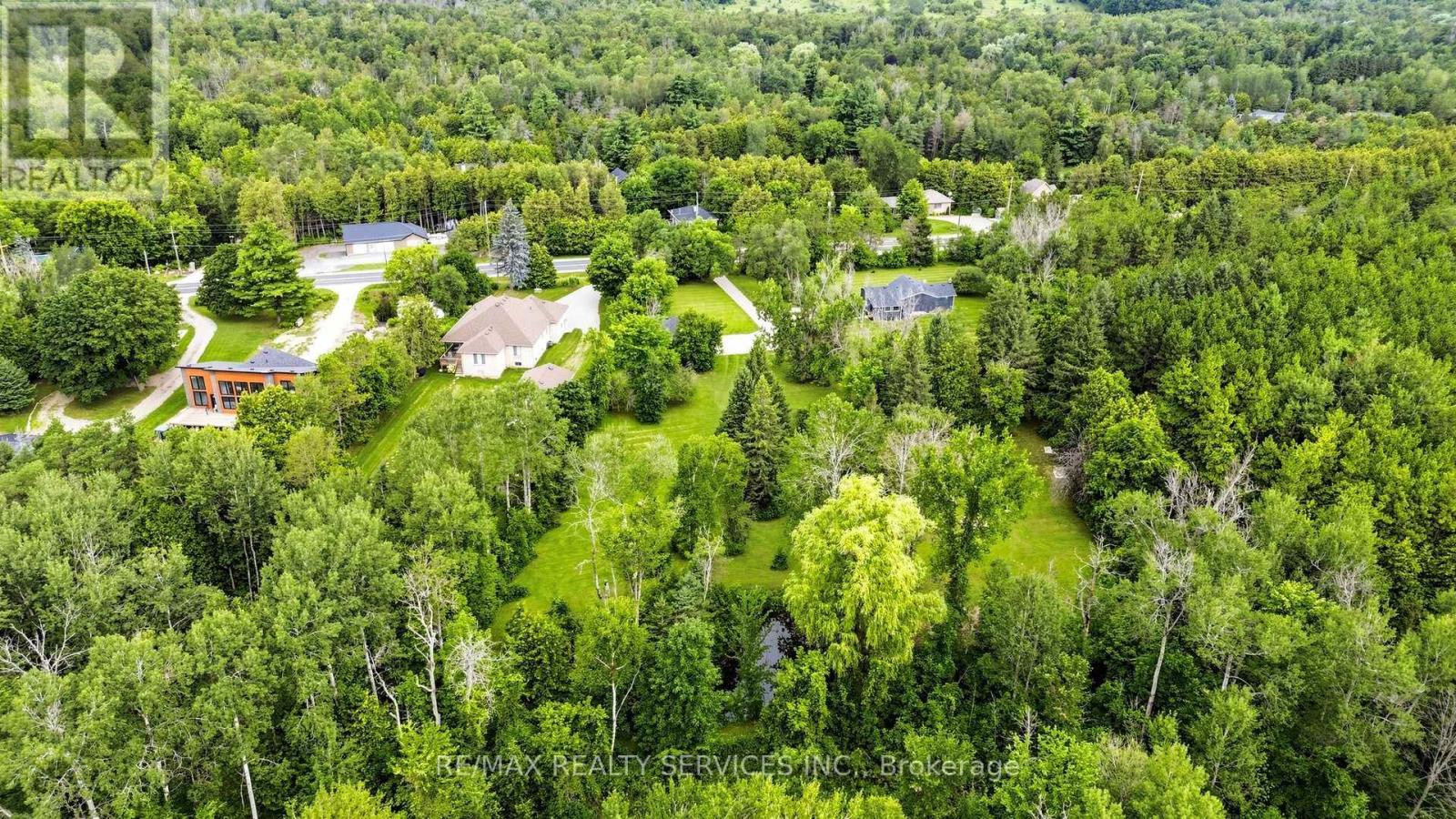 9225 County 1 Road, Adjala-Tosorontio, Ontario  L0N 1P0 - Photo 45 - N13673150