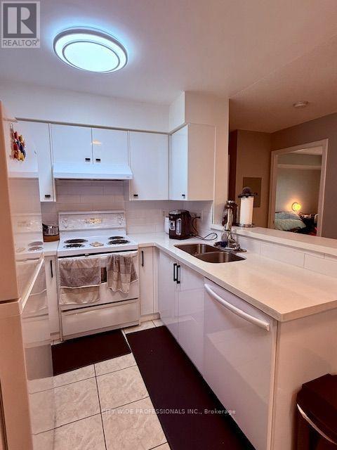 509 - 39 Oneida Crescent, Richmond Hill, Ontario  L4B 4T9 - Photo 11 - N13673228