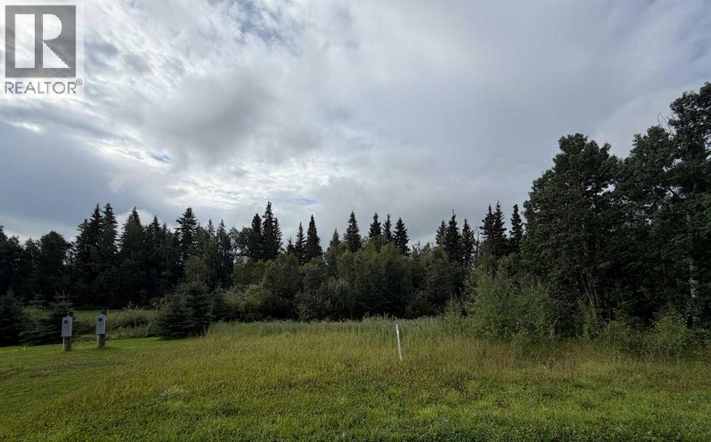 9, 15015 Township Road 424 Township, Rural Ponoka County, Alberta  T0B 0H0 - Photo 1 - A2279272