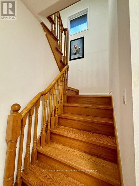 14 Buckhorn Avenue, Richmond Hill, Ontario  L4C 0E3 - Photo 11 - N13553204
