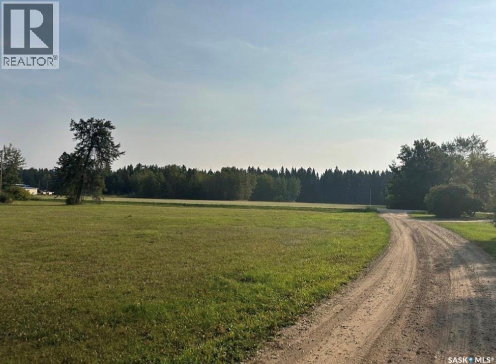 212 7th Avenue S, Big River, Saskatchewan  S0J 0E0 - Photo 6 - SK045442
