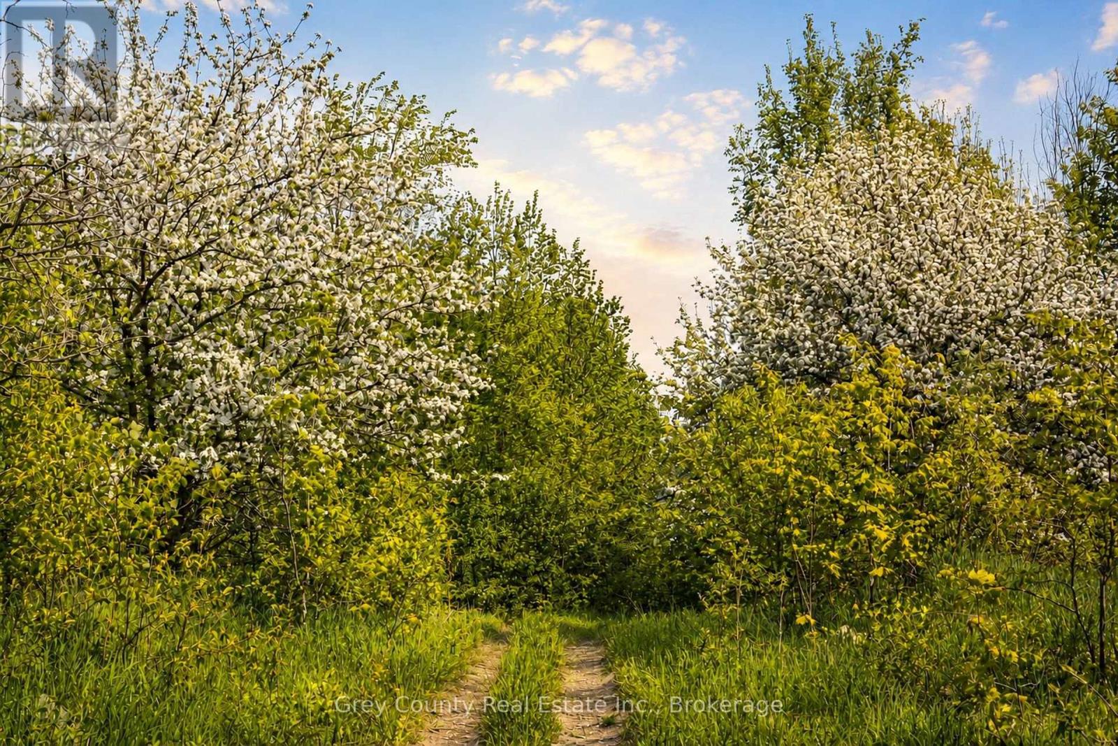 135260 9th Line, Grey Highlands, Ontario  N0C 1H0 - Photo 49 - X13672280