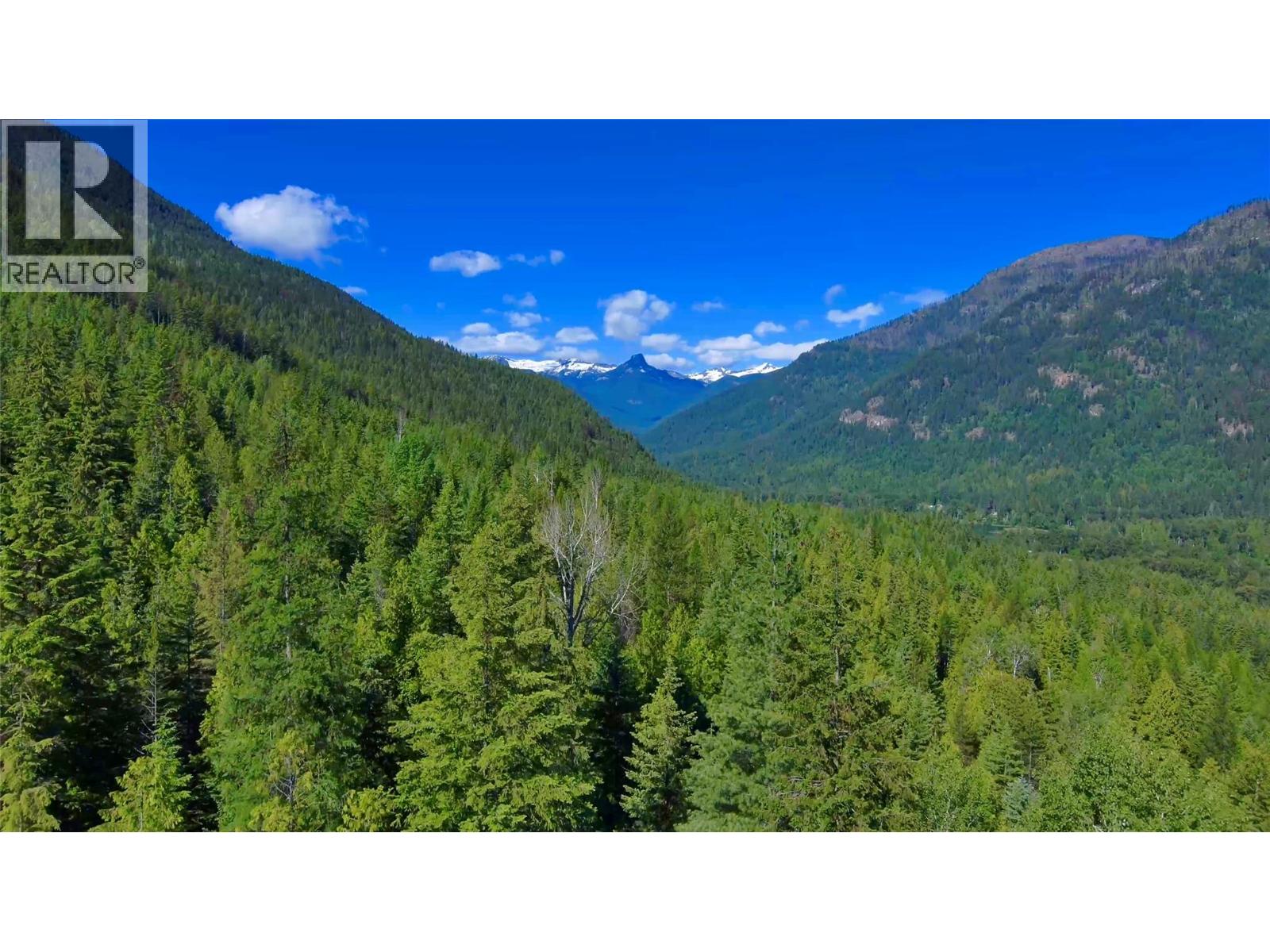 4650 6 Highway, Winlaw, British Columbia  V0G 2J0 - Photo 10 - 10397552