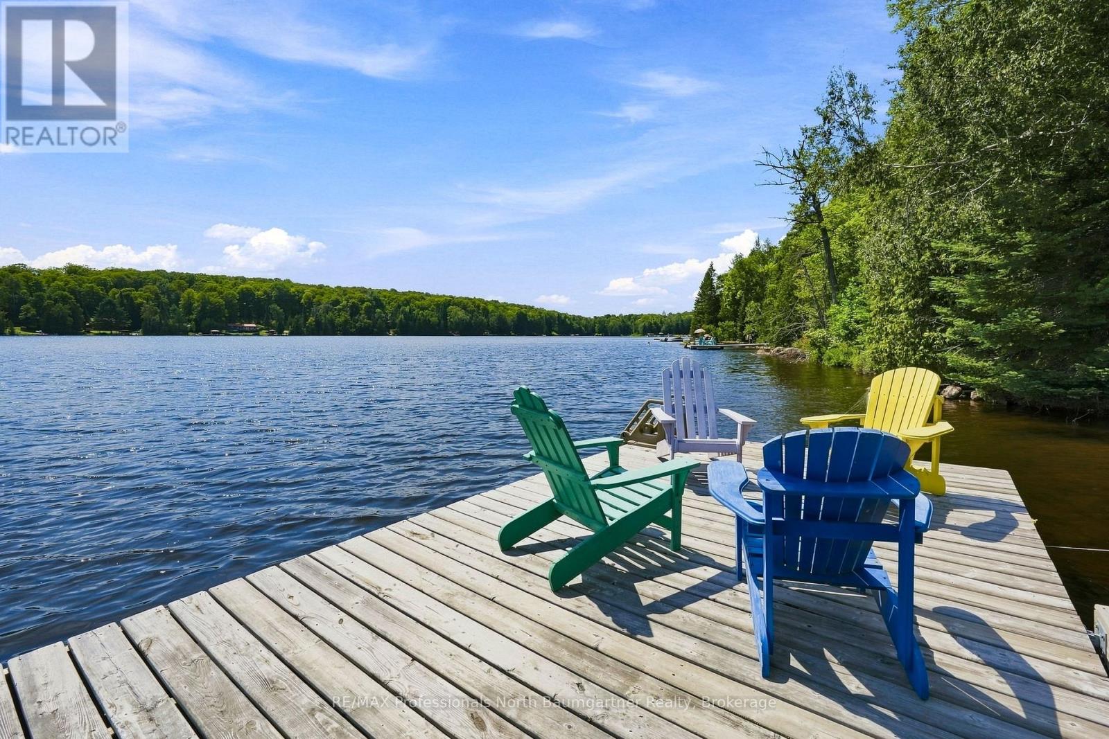 2020 Alsop Road, Highlands East, Ontario  K0M 2R0 - Photo 42 - X13673358