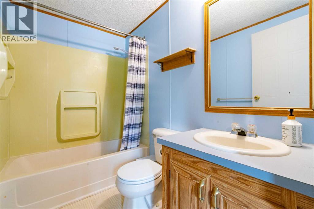 2 Elm Close, Erskine, Alberta  T0C 1G0 - Photo 29 - A2316088