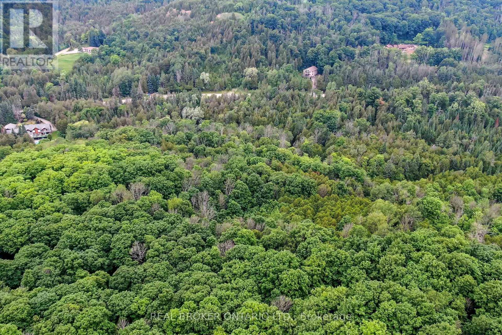 30725 Hockley Road, Mono, Ontario L9W 6N7 - Photo 10 - X13673384