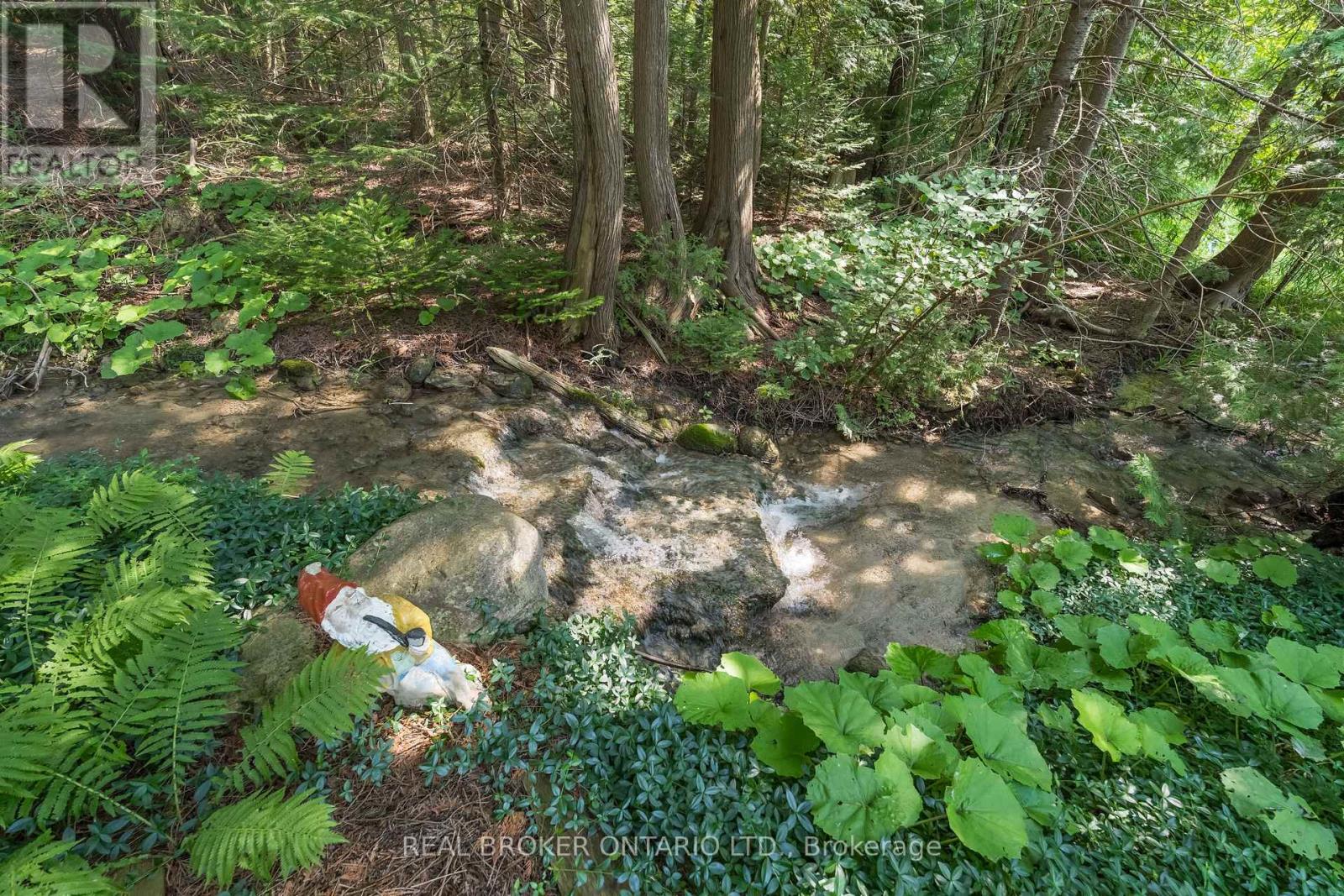 30725 Hockley Road, Mono, Ontario L9W 6N7 - Photo 2 - X13673384