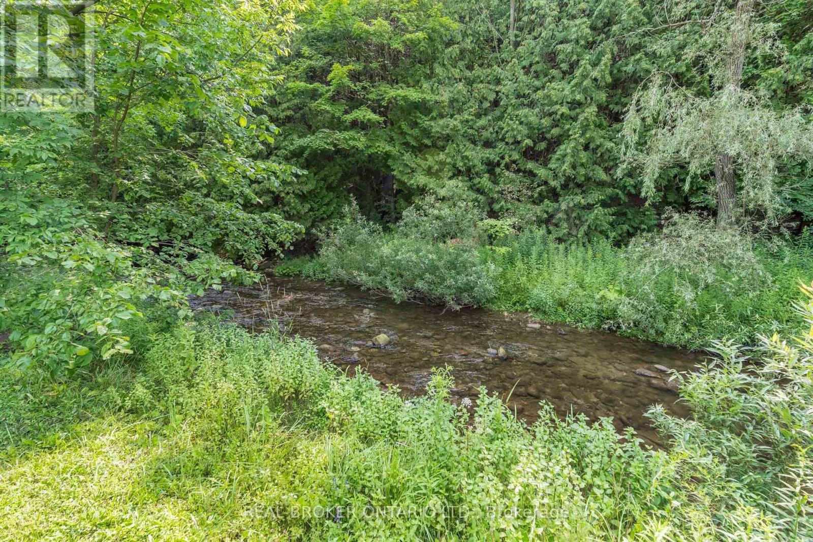 30725 Hockley Road, Mono, Ontario L9W 6N7 - Photo 3 - X13673384