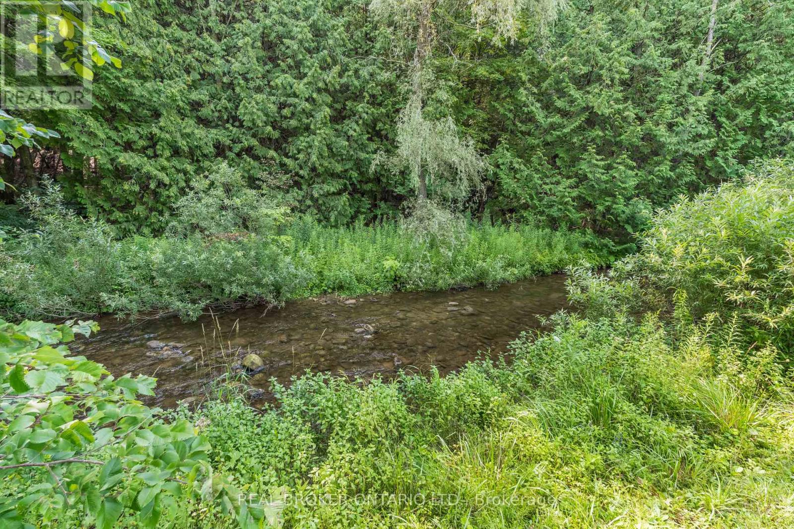 30725 Hockley Road, Mono, Ontario L9W 6N7 - Photo 6 - X13673384