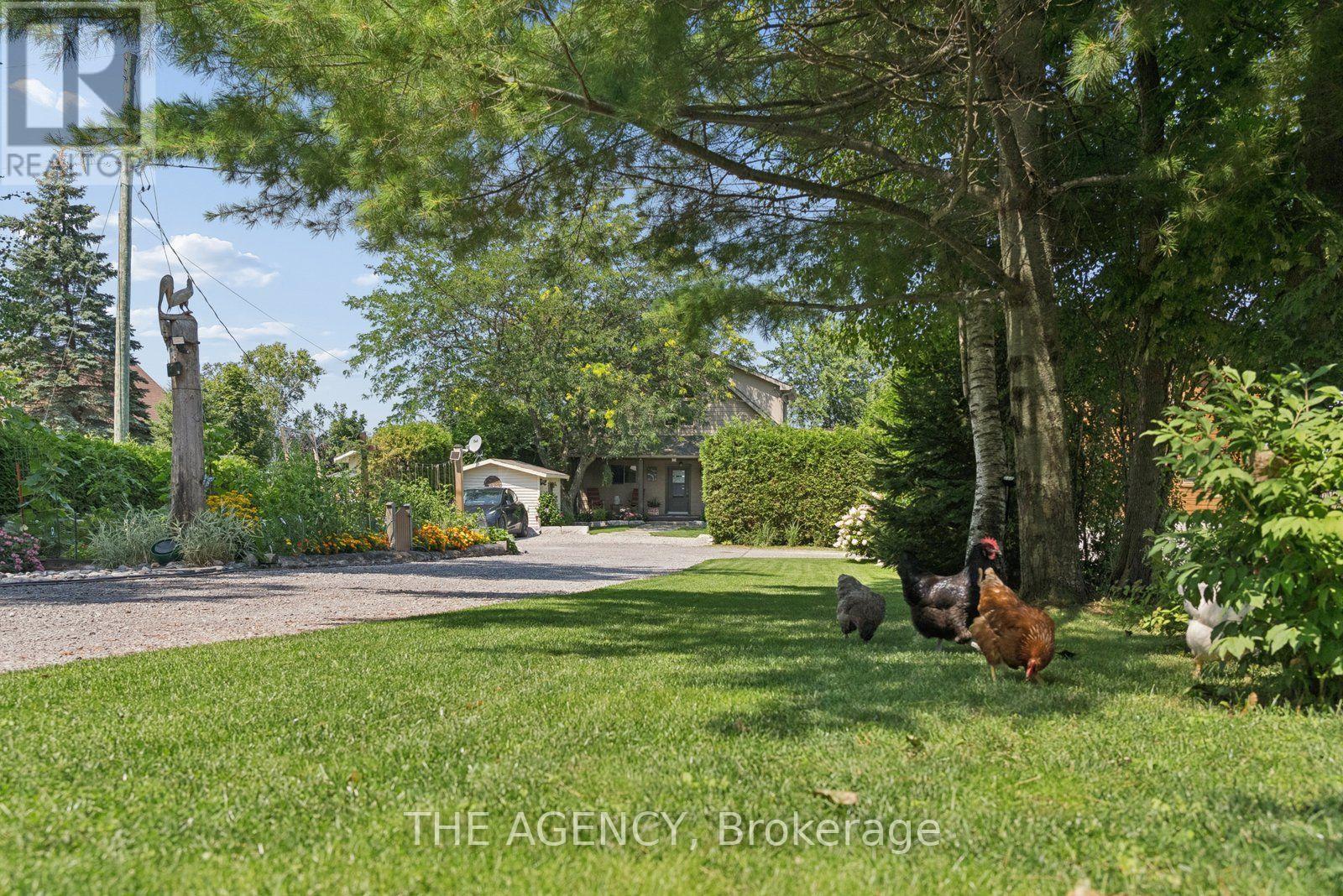 280 - 5269 Oriole Beach Road, Hamilton Township, Ontario  K0K 2E0 - Photo 31 - X13673422