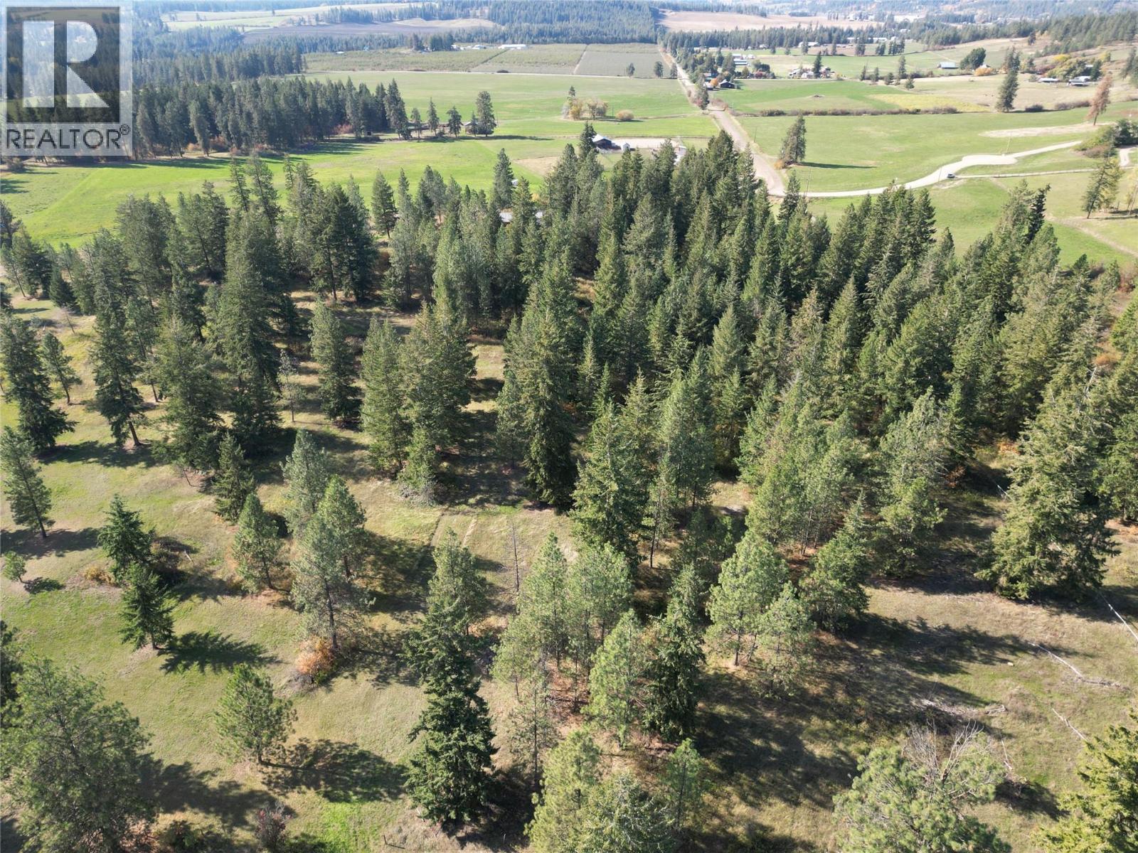2160 Rashdale Road, Spallumcheen, British Columbia  V0E 1B4 - Photo 9 - 10397615