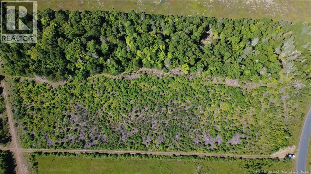 3.2 Acres Chemin Grand Carey, Six Roads, New Brunswick E1X 3A2 - Photo 10 - NB145549