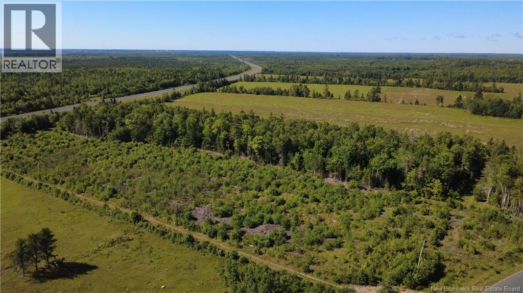 3.2 Acres Chemin Grand Carey, Six Roads, New Brunswick E1X 3A2 - Photo 11 - NB145549