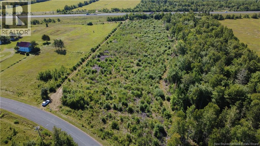 3.2 Acres Chemin Grand Carey, Six Roads, New Brunswick E1X 3A2 - Photo 5 - NB145549