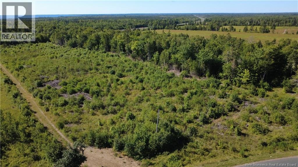 3.2 Acres Chemin Grand Carey, Six Roads, New Brunswick E1X 3A2 - Photo 4 - NB145549