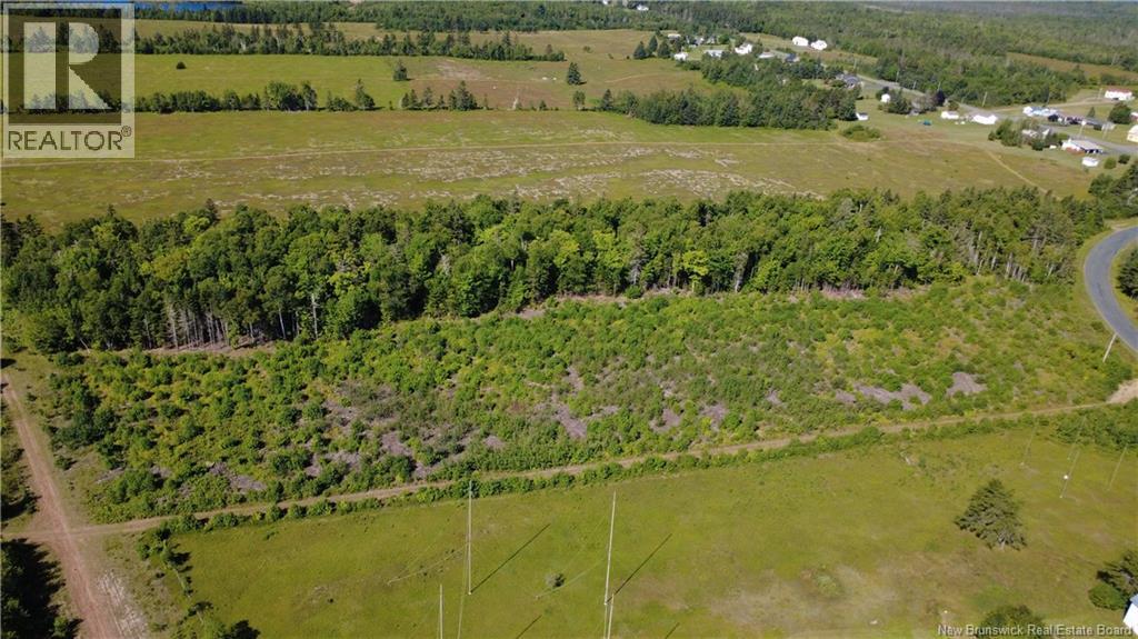 3.2 Acres Chemin Grand Carey, Six Roads, New Brunswick E1X 3A2 - Photo 9 - NB145549