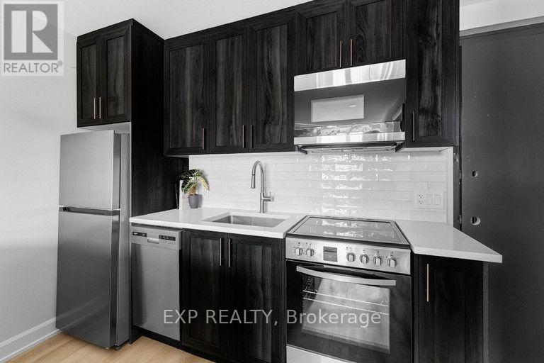 201 - 658 Somerset Street W, Ottawa, Ontario K1R 5K4 - Photo 5 - X13673610