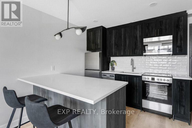 201 - 658 Somerset Street W, Ottawa, Ontario K1R 5K4 - Photo 7 - X13673610