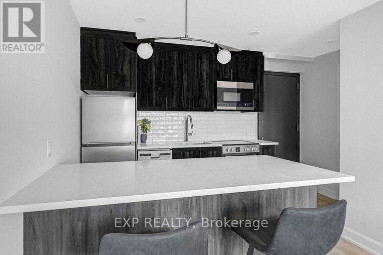 201 - 658 Somerset Street W, Ottawa, Ontario  K1R 5K4 - Photo 8 - X13673610