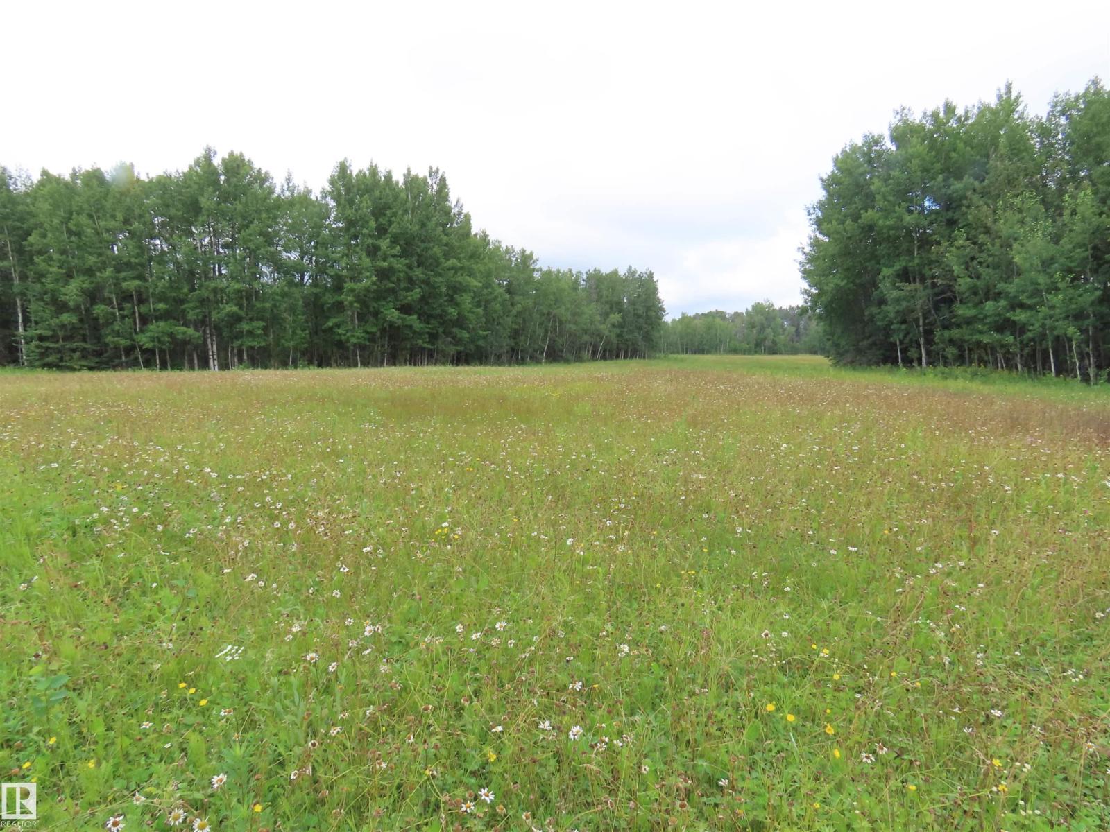 2217 Township 560, Rural Lac Ste. Anne County, Alberta  T0E 1V0 - Photo 1 - E4503687