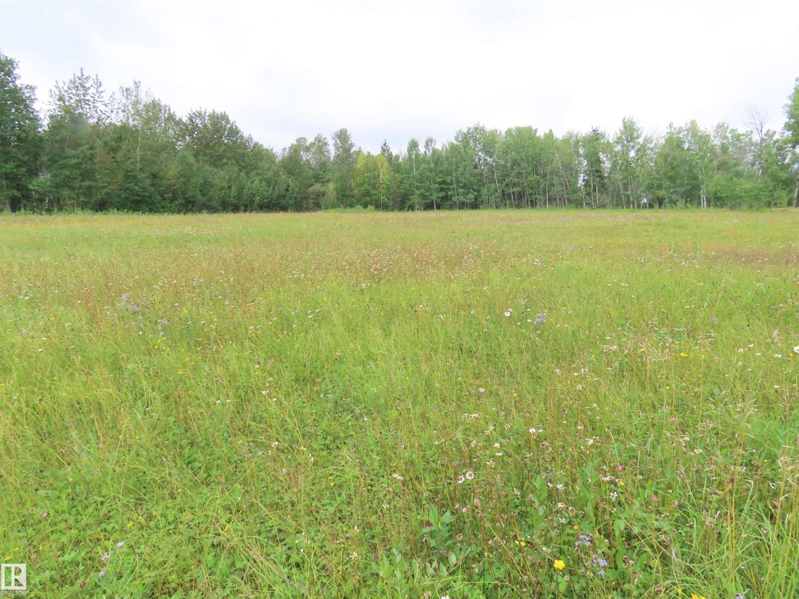 2217 Township 560, Rural Lac Ste. Anne County, Alberta  T0E 1V0 - Photo 27 - E4503687
