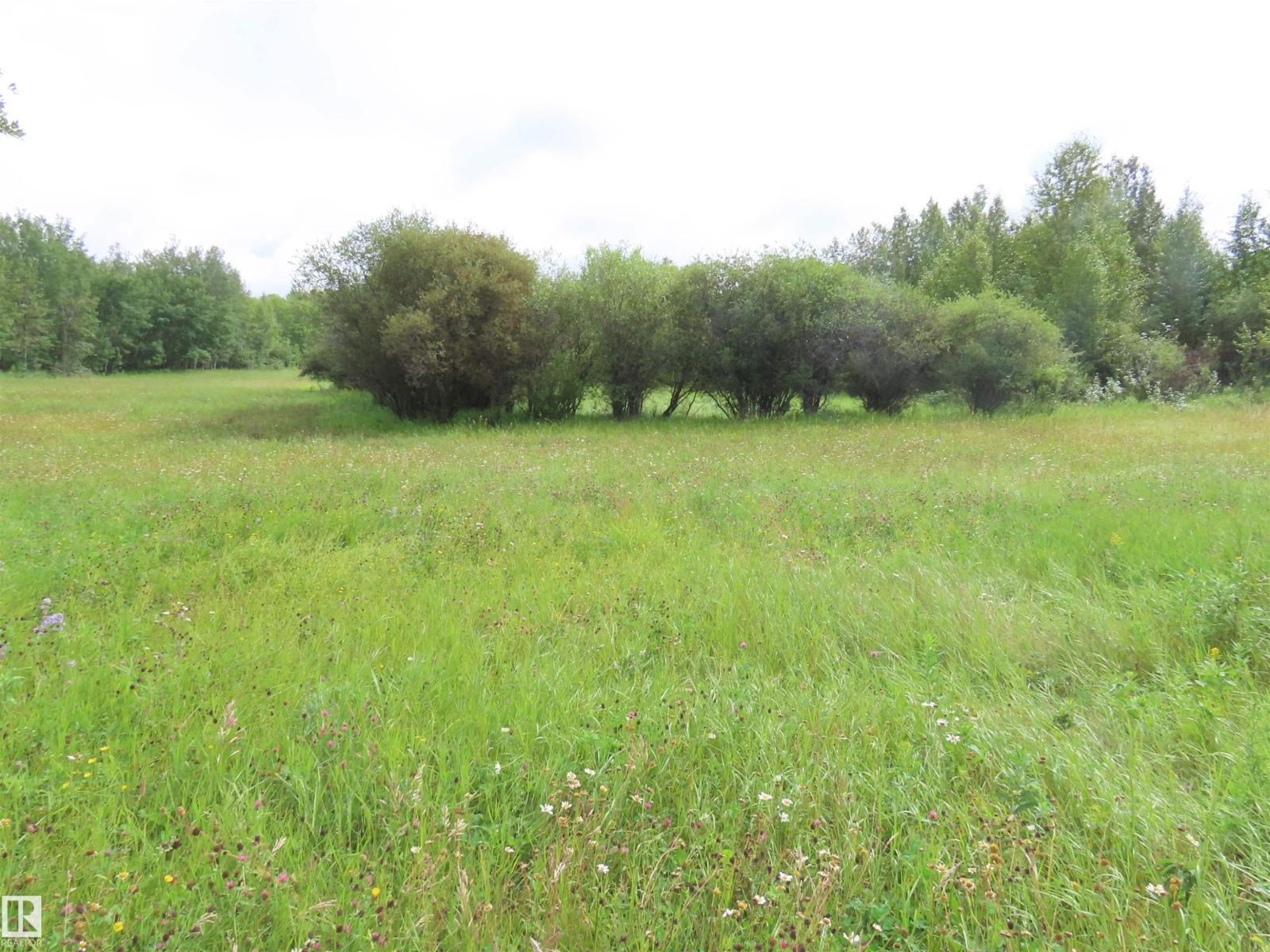 2217 Township 560, Rural Lac Ste. Anne County, Alberta  T0E 1V0 - Photo 28 - E4503687