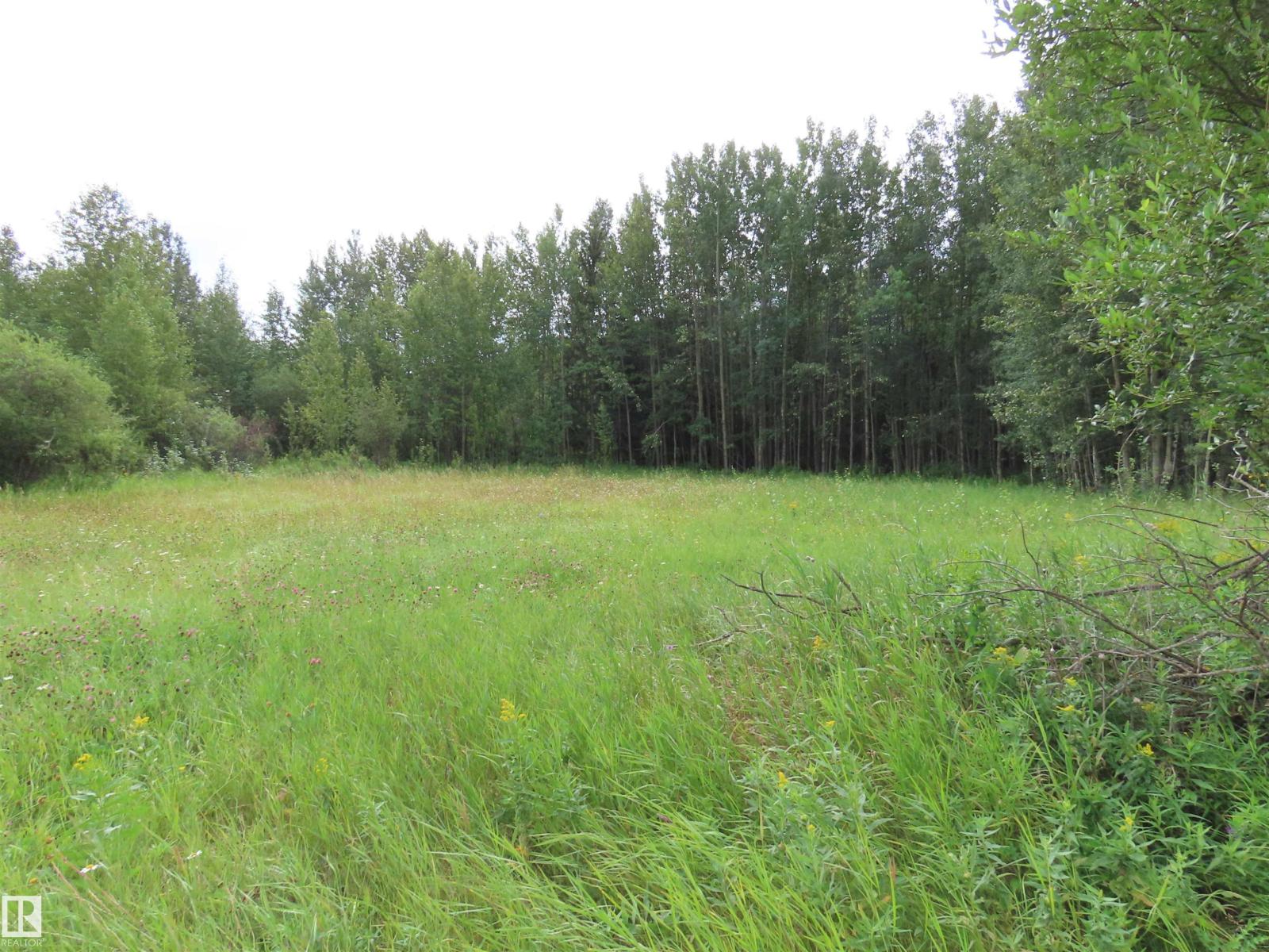2217 Township 560, Rural Lac Ste. Anne County, Alberta  T0E 1V0 - Photo 31 - E4503687