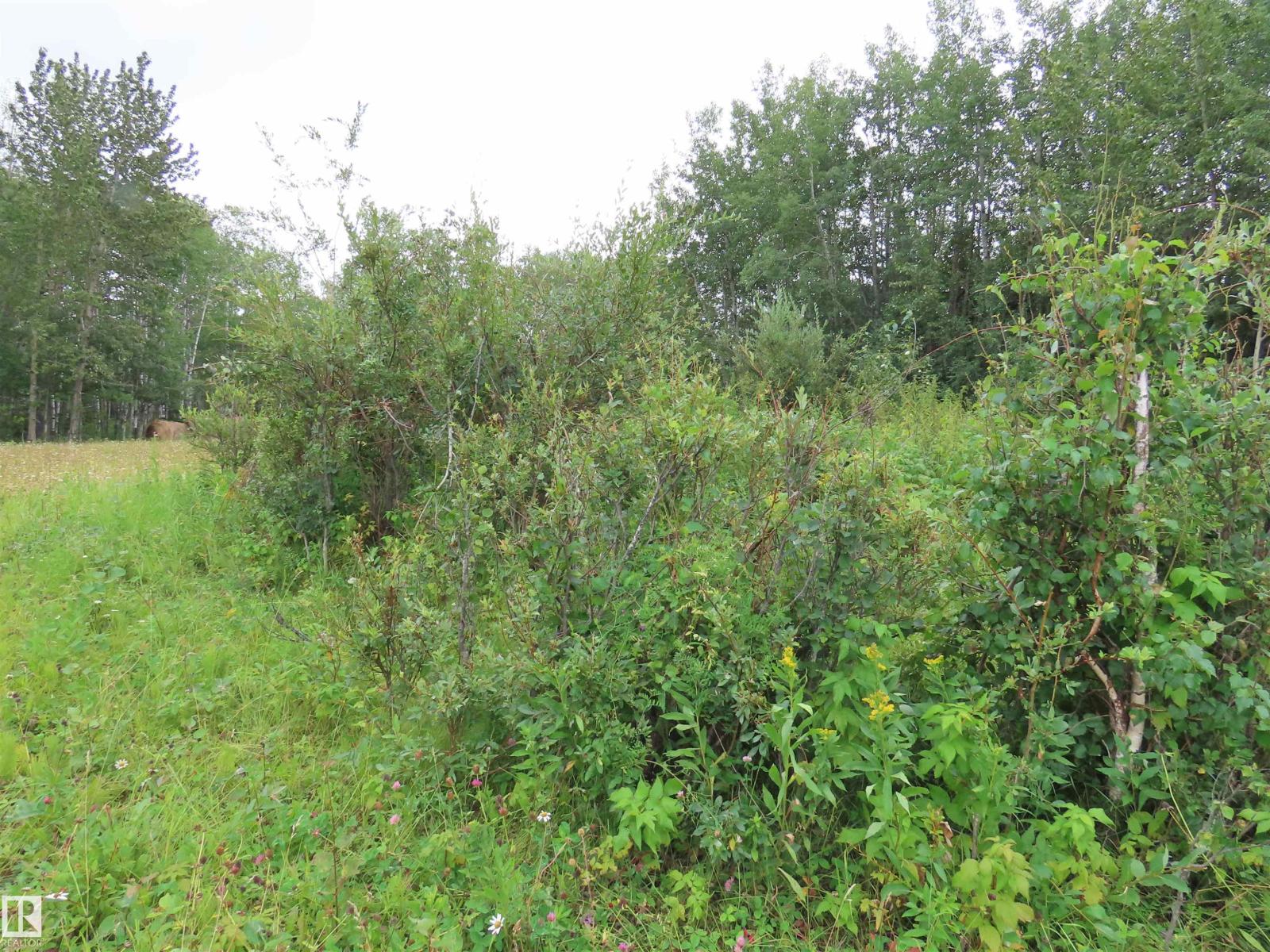 2217 Township 560, Rural Lac Ste. Anne County, Alberta  T0E 1V0 - Photo 40 - E4503687