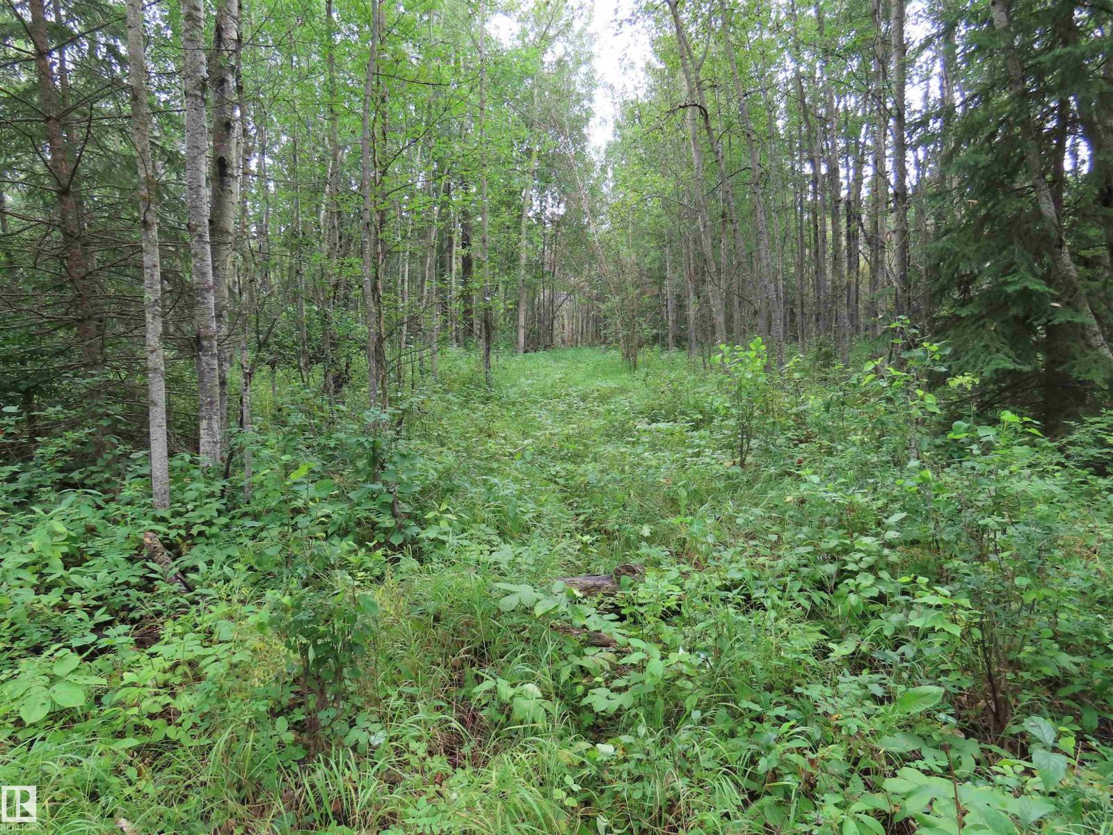 2217 Township 560, Rural Lac Ste. Anne County, Alberta  T0E 1V0 - Photo 45 - E4503687