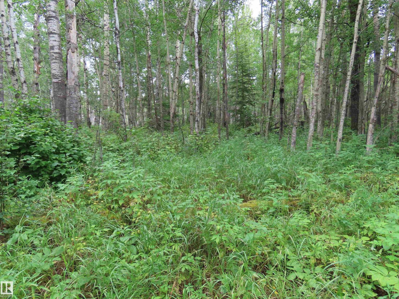 2217 Township 560, Rural Lac Ste. Anne County, Alberta  T0E 1V0 - Photo 46 - E4503687