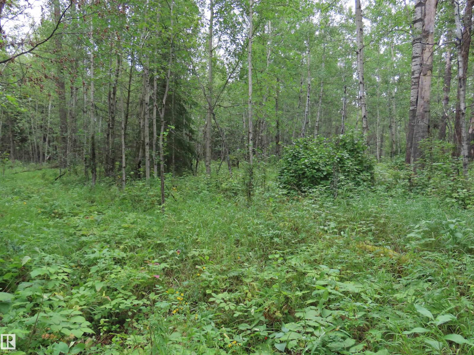 2217 Township 560, Rural Lac Ste. Anne County, Alberta  T0E 1V0 - Photo 51 - E4503687