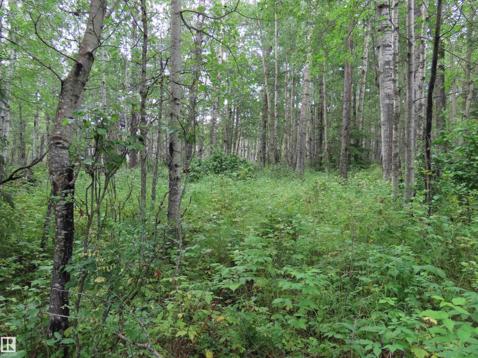 2217 Township 560, Rural Lac Ste. Anne County, Alberta  T0E 1V0 - Photo 52 - E4503687