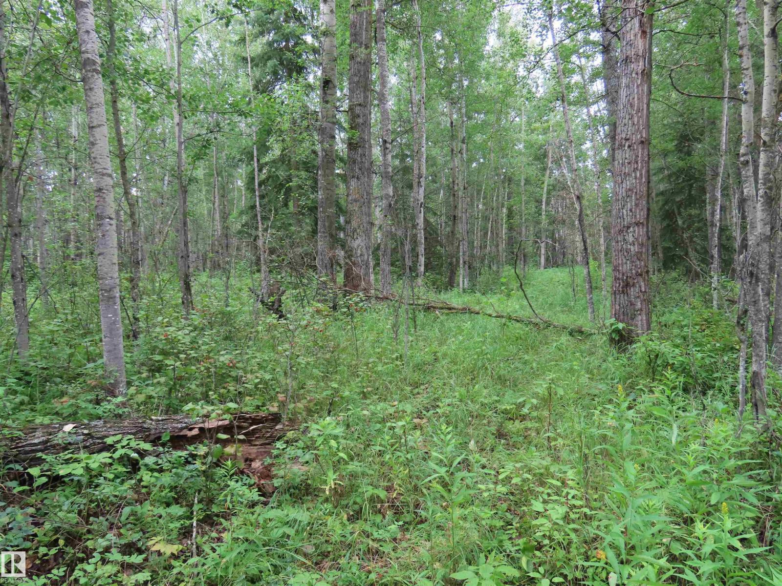 2217 Township 560, Rural Lac Ste. Anne County, Alberta  T0E 1V0 - Photo 53 - E4503687