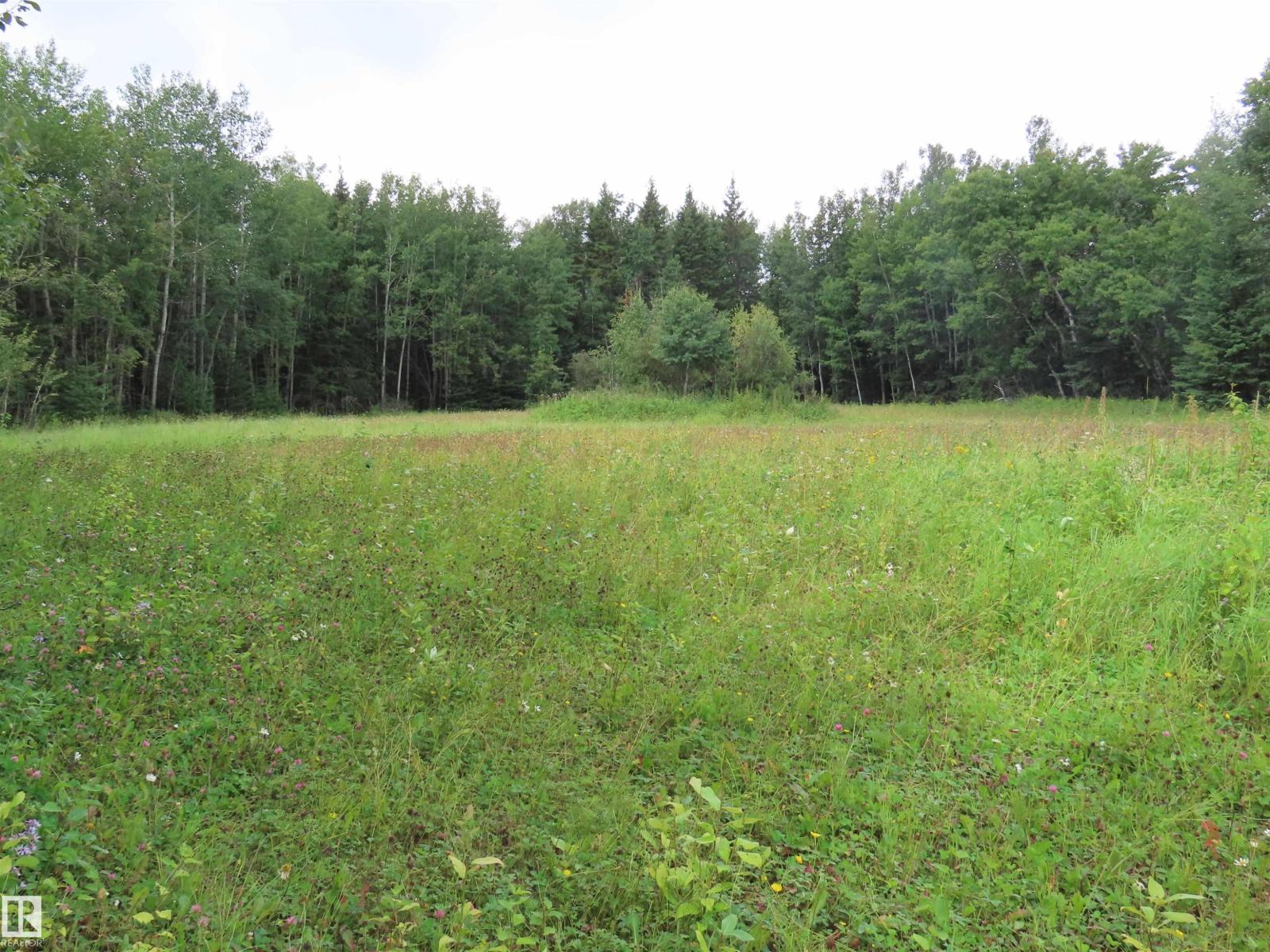 2217 Township 560, Rural Lac Ste. Anne County, Alberta  T0E 1V0 - Photo 54 - E4503687
