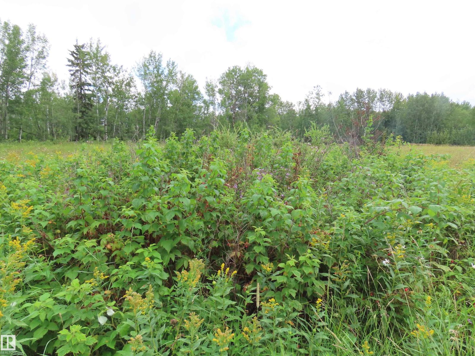 2217 Township 560, Rural Lac Ste. Anne County, Alberta  T0E 1V0 - Photo 56 - E4503687