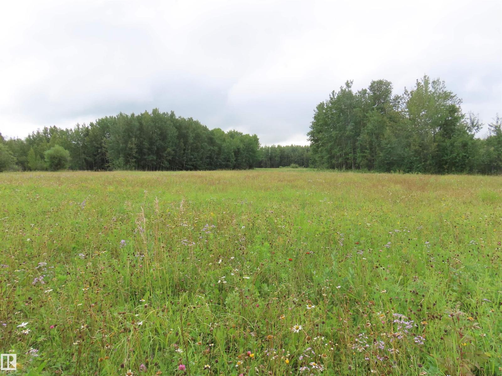 2217 Township 560, Rural Lac Ste. Anne County, Alberta  T0E 1V0 - Photo 57 - E4503687