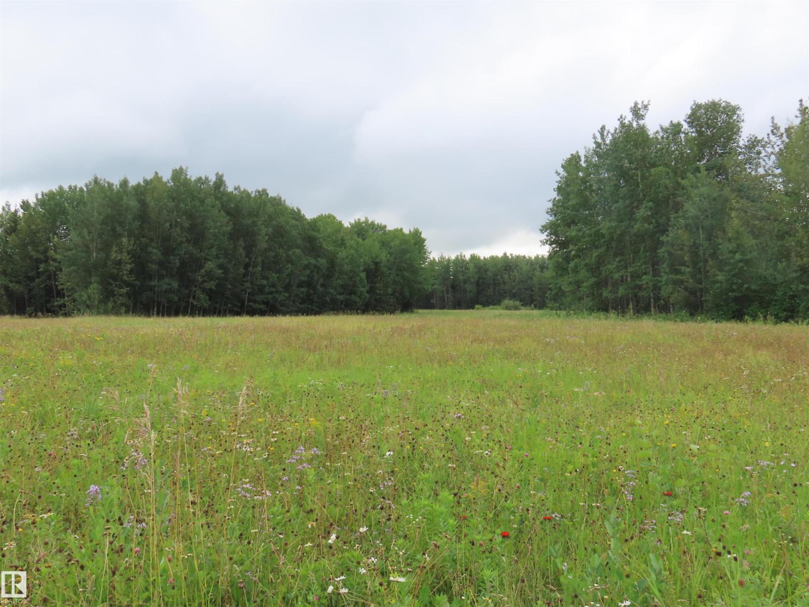 2217 Township 560, Rural Lac Ste. Anne County, Alberta  T0E 1V0 - Photo 58 - E4503687