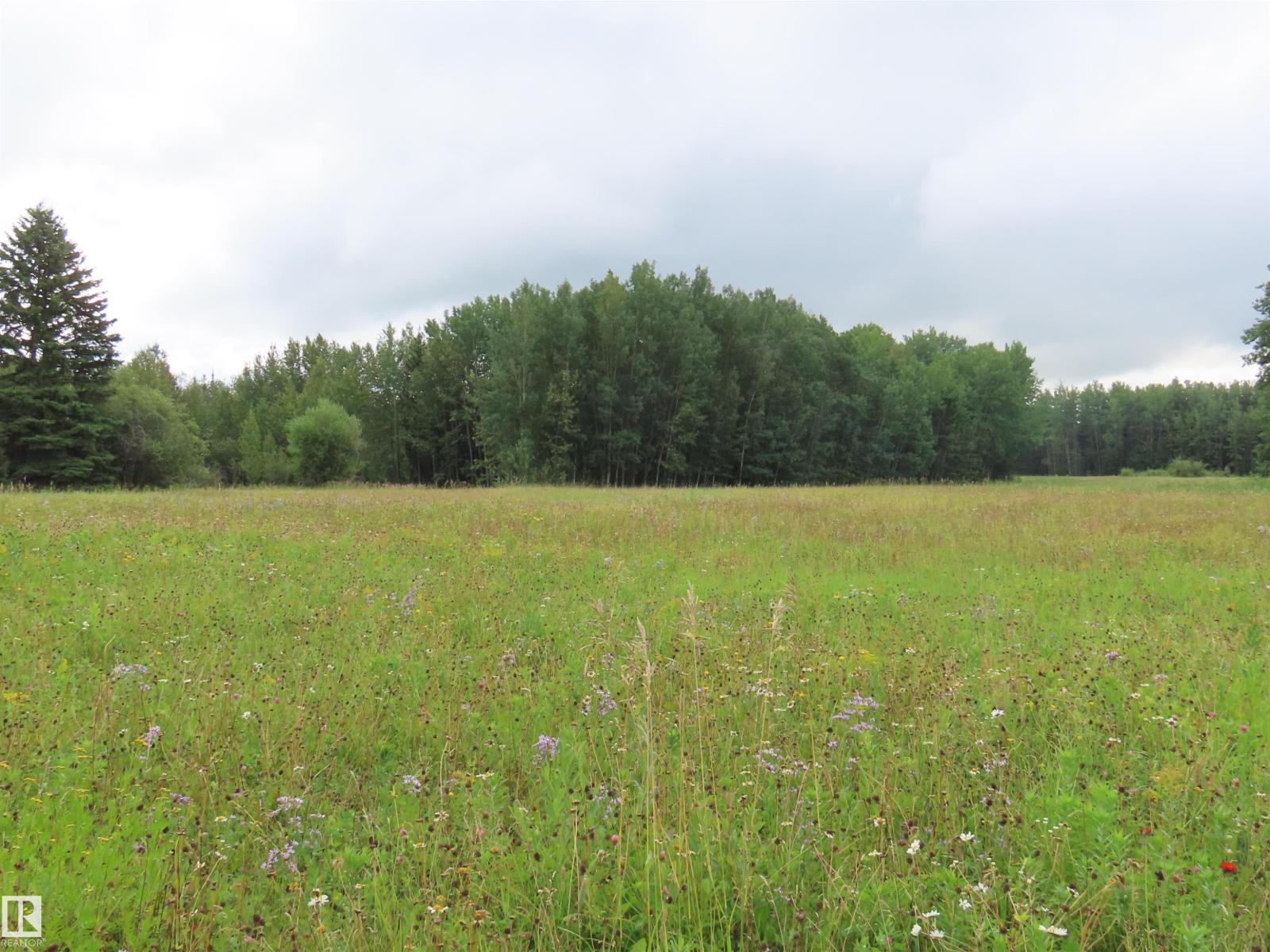 2217 Township 560, Rural Lac Ste. Anne County, Alberta  T0E 1V0 - Photo 59 - E4503687