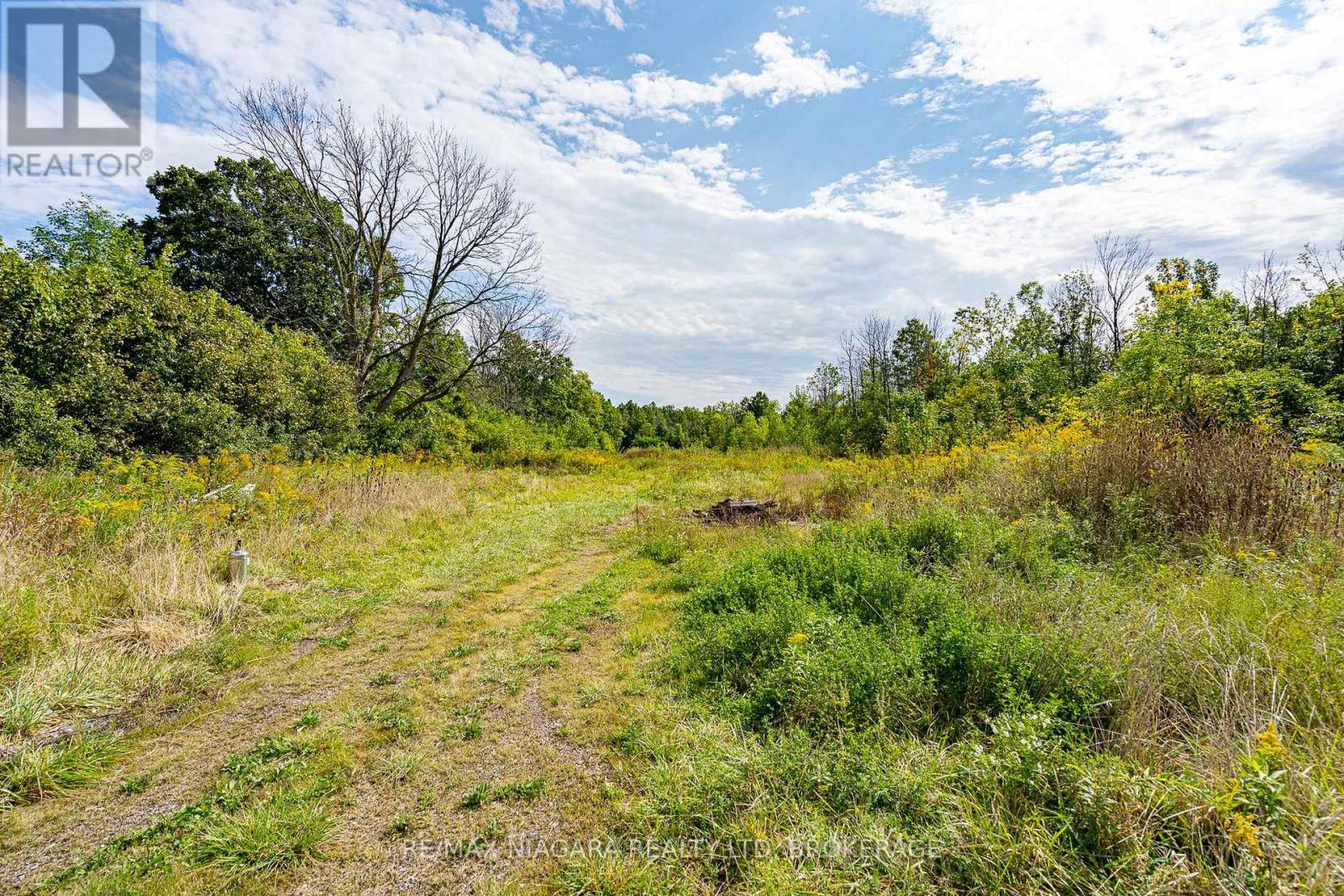 487 Four Mile Creek Road, Niagara-On-The-Lake (St. Davids), Ontario  L0S 1J0 - Photo 5 - X13673722