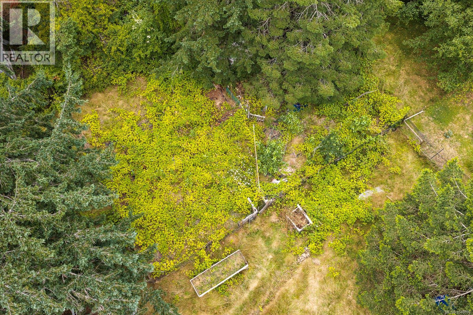 8808 Island Hwy N, Black Creek, British Columbia  V9J 1K5 - Photo 35 - 1046890