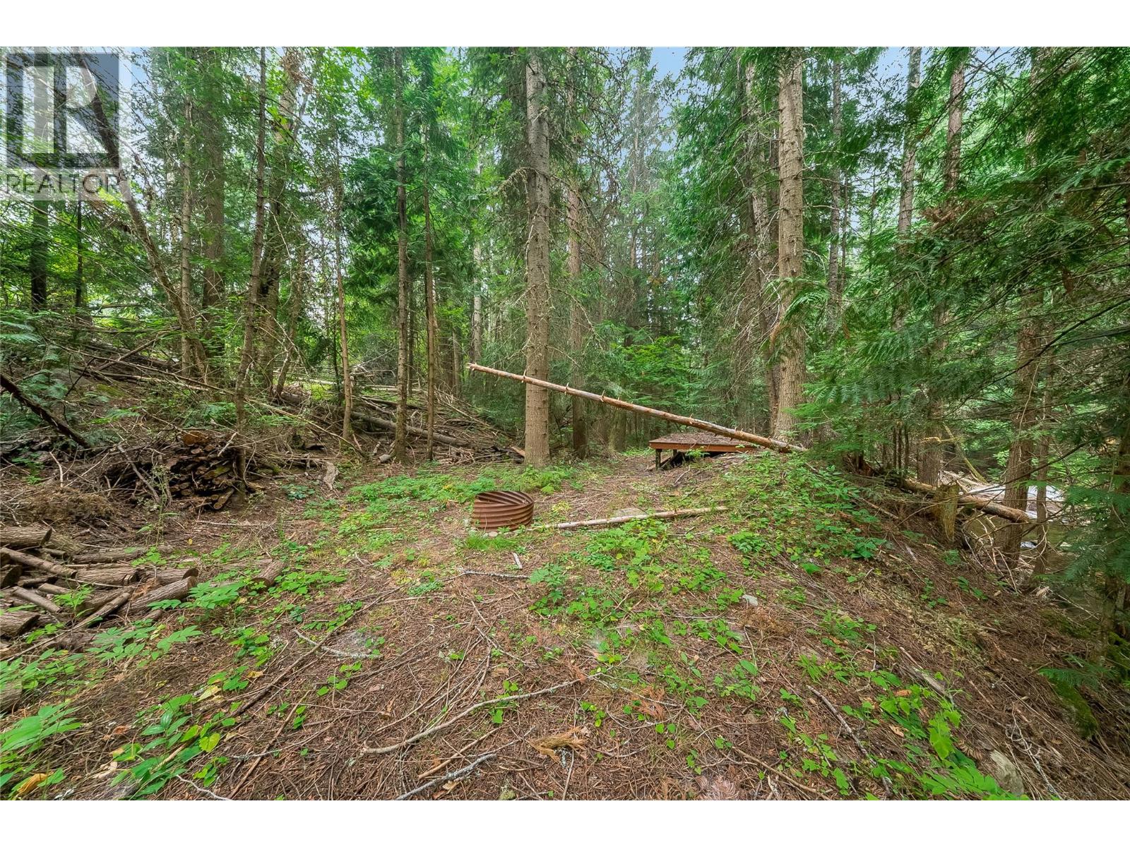 314 Webster Road, Fruitvale, British Columbia  V0G 1L1 - Photo 62 - 10397555