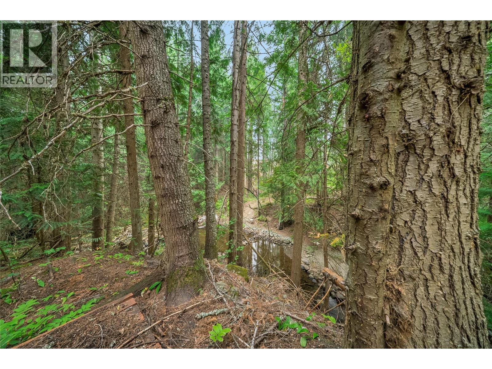314 Webster Road, Fruitvale, British Columbia  V0G 1L1 - Photo 63 - 10397555