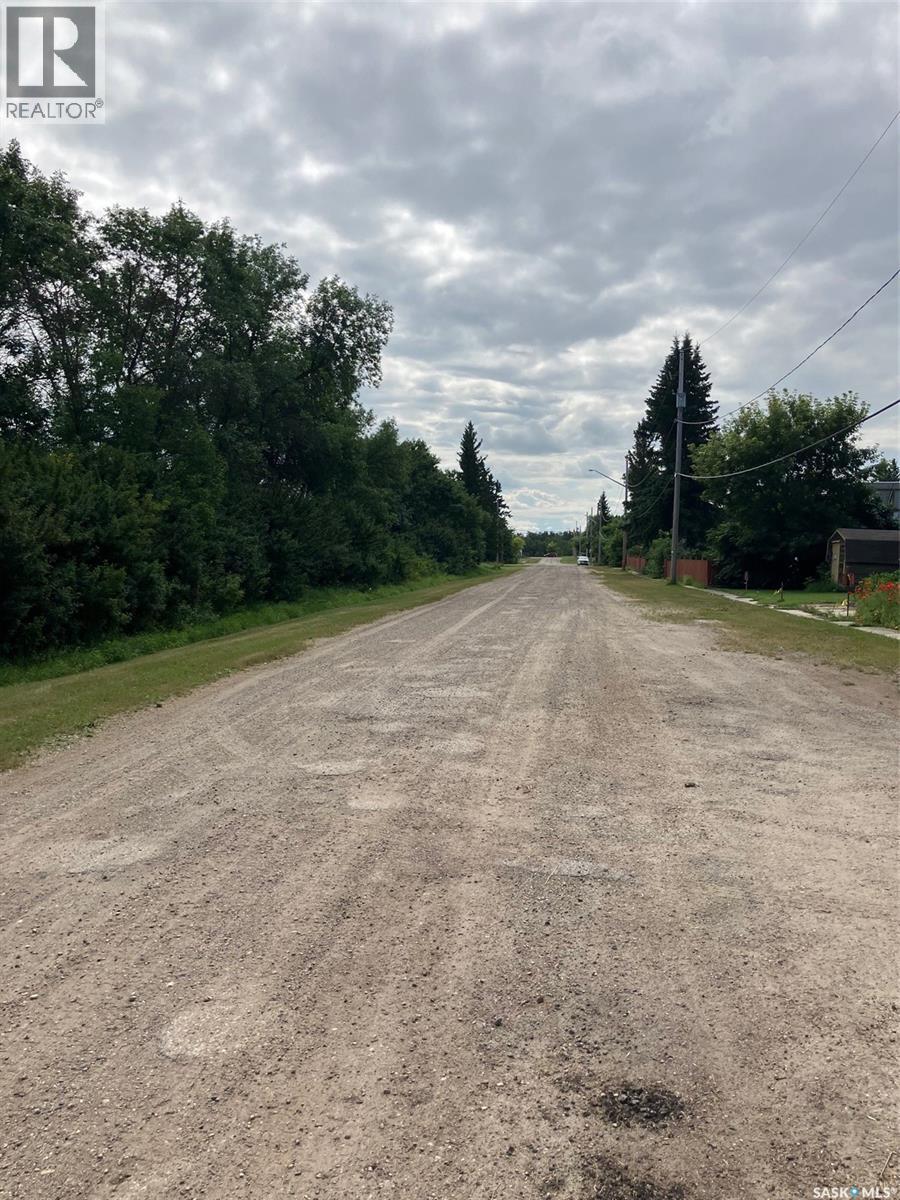 426 Poplar Peak Street, Lestock, Saskatchewan  S0A 2G0 - Photo 41 - SK045491