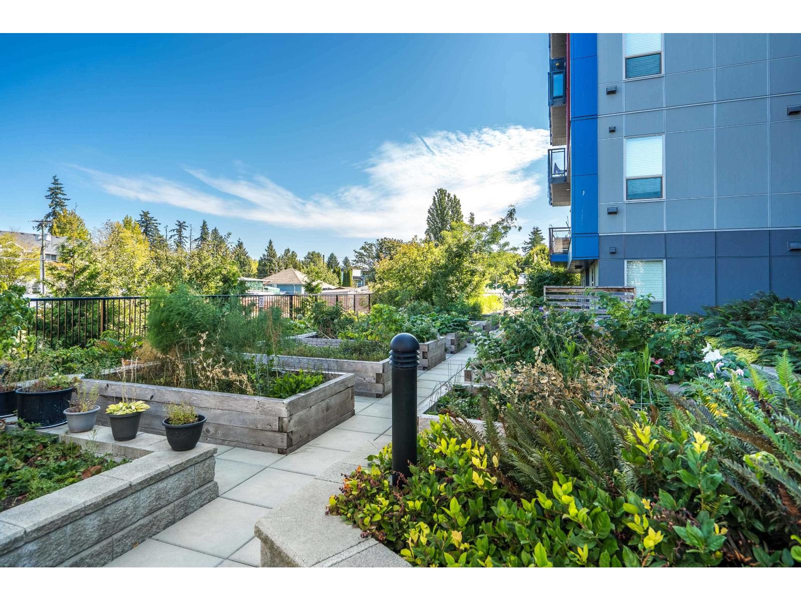 218 5486 199a Street, Langley, British Columbia  V3A 1J6 - Photo 35 - R3155443