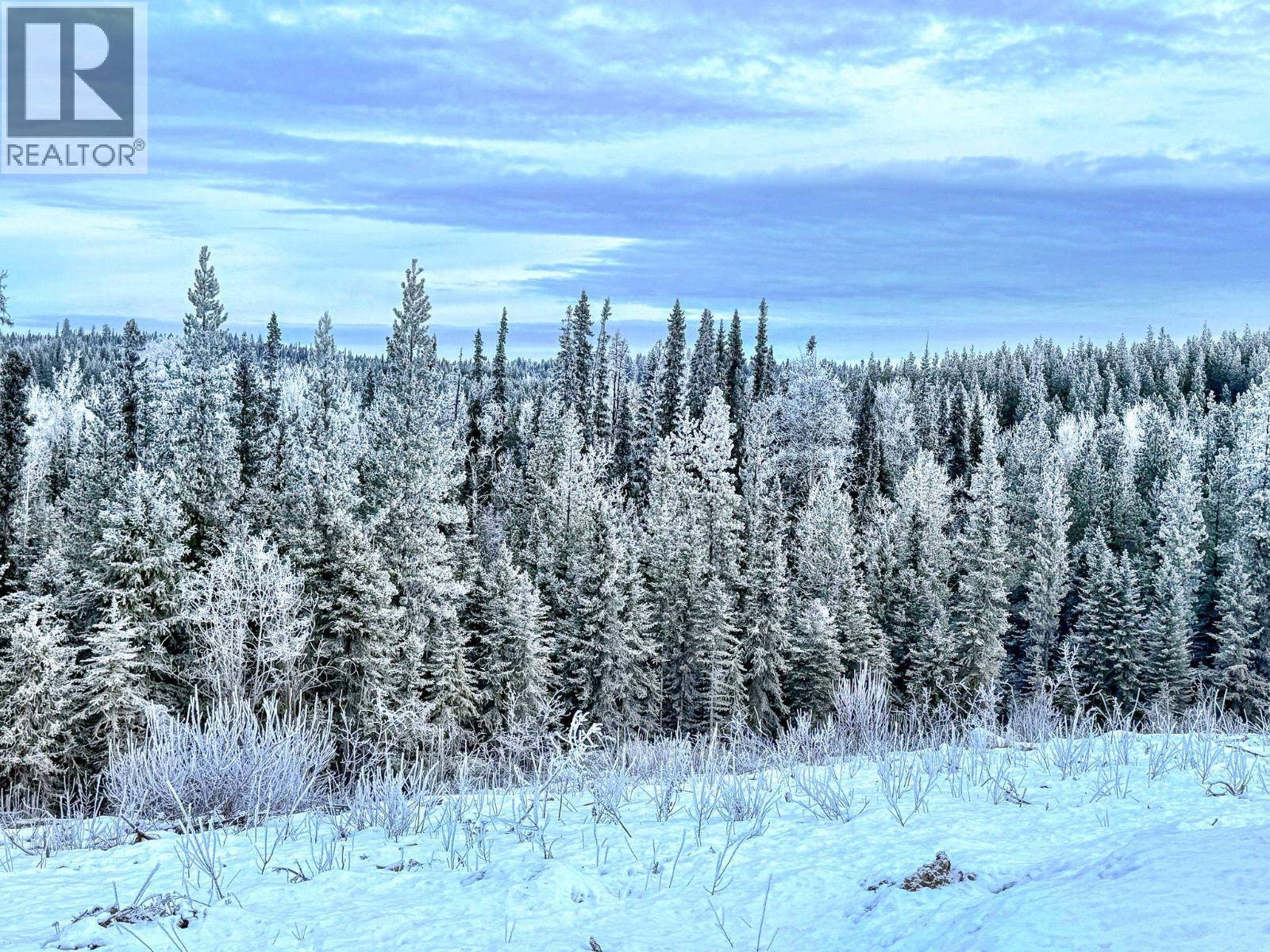 2280 Meier Road, Cluculz Lake, British Columbia  V2N 6P4 - Photo 15 - R3155698