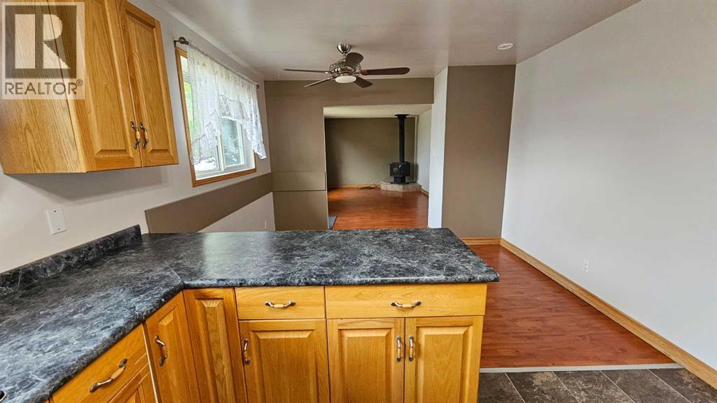 4810 Windsor Avenue, Coronation, Alberta  T0C 0X0 - Photo 10 - A2336752