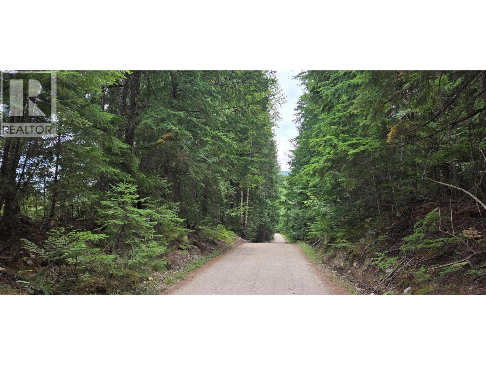 4560 6 Highway, Winlaw, British Columbia  V0G 2J0 - Photo 6 - 10397806